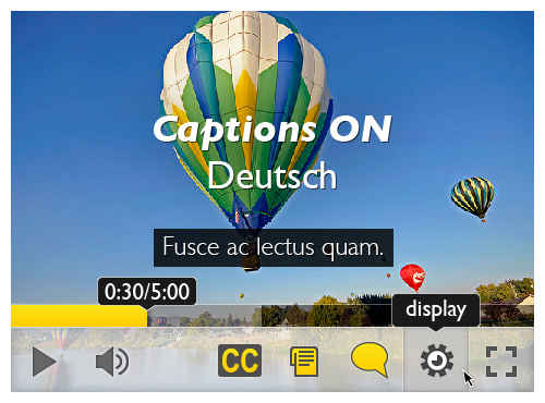 Screenshot of the Floe video player, with enlarged interface